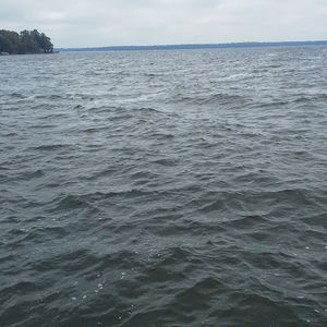 Meet your Posher, Sheldon